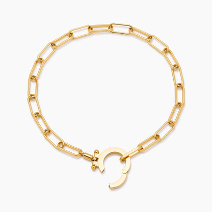 Paperclip chain bracelet flat lay — Olivia Jewelry
